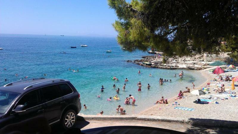 Apartment Sandro Ivan Dolac